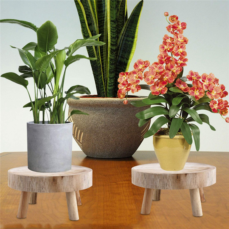 FBIL-Mini Wooden Stool Display - Up Bonsai Garden reseña y precio