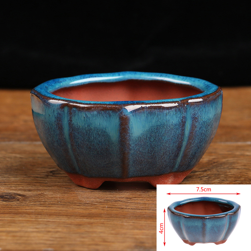 1pcs Bonsai Mini Ceramic Flowe - Japanese Garden Bonsai reseña y precio