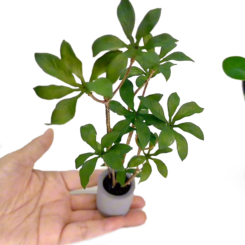 1:6 Dollhouse Miniature Potted - Bonsai Garden Pot reseña y precio