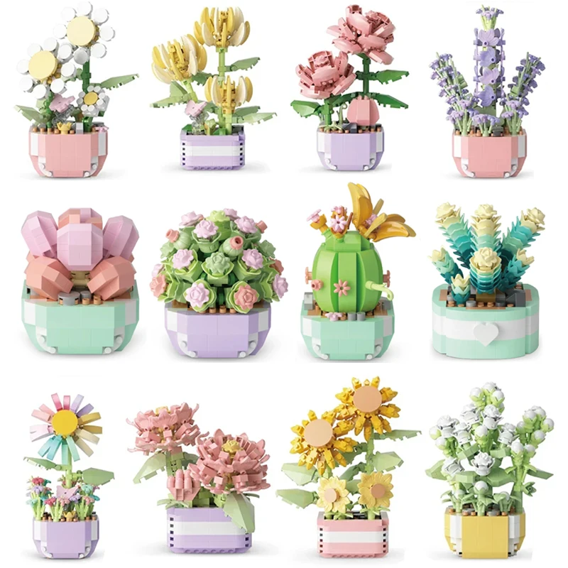 Flower Succulents Building Blo - Bonsai Garden Pot reseña y precio