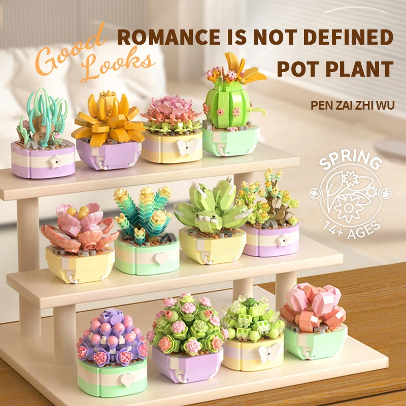Flower Succulents Building Blo - Bonsai Garden Pot reseña y precio