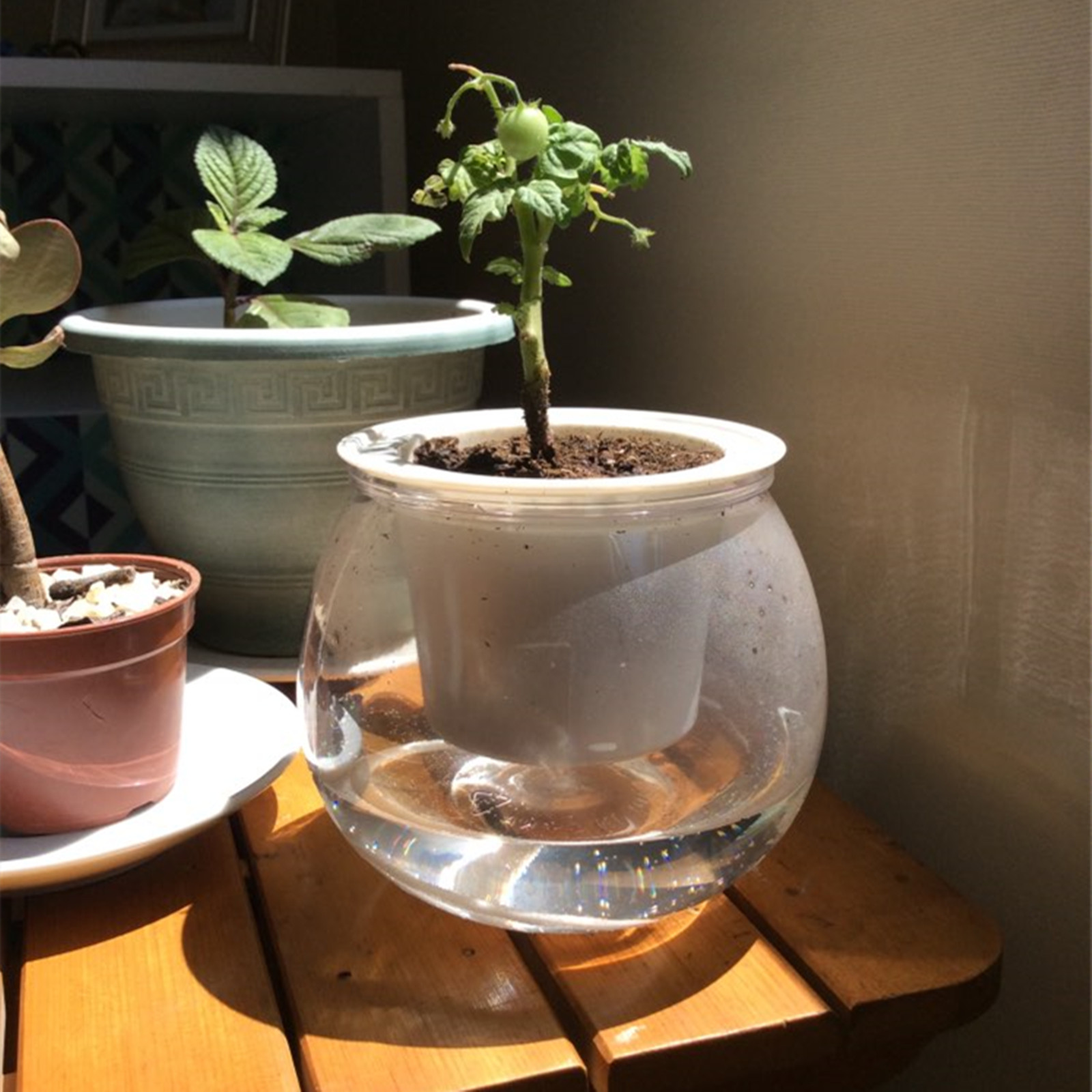 Self Watering Planter Pots Min - Japanese Garden Bonsai reseña y precio