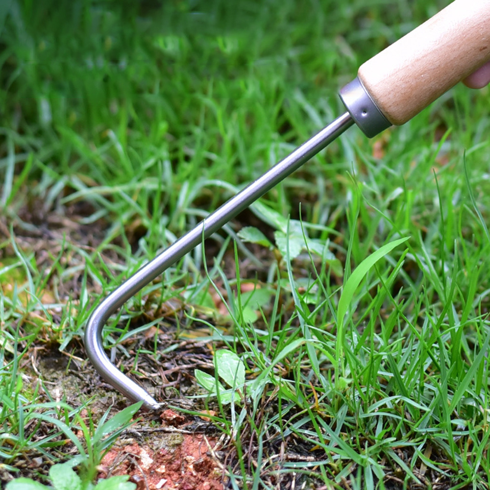 1PC Single Claw Hook Soil Loos - Bonsai Garden Pot reseña y precio