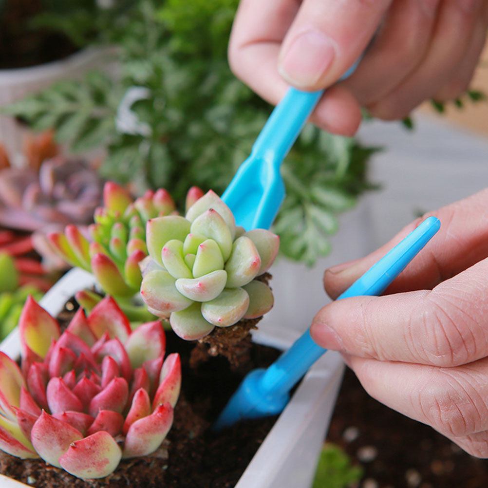 1Set Gardening Tools Set Succu - Soil Scoop Tool reseña y precio