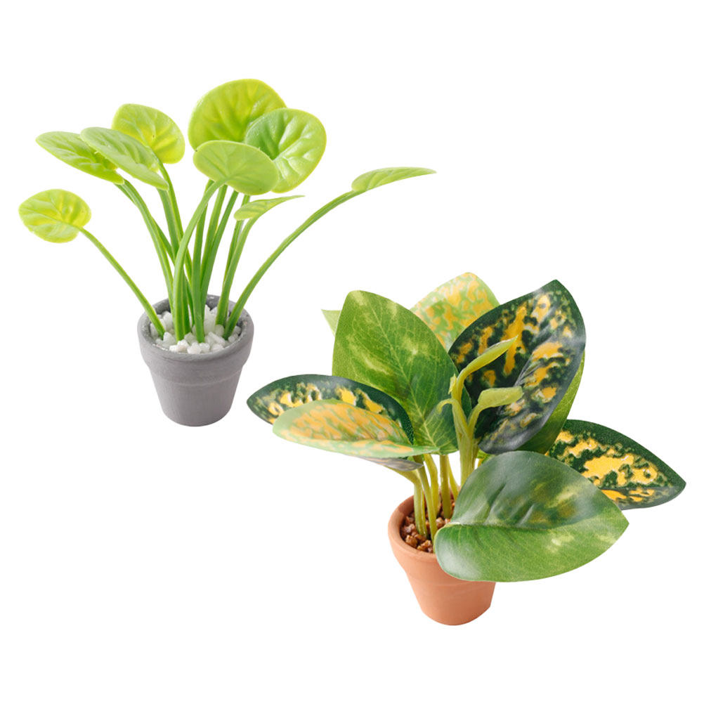 2Pcs Exquisite Miniature Bonsa - Bonsai Garden Desk reseña y precio