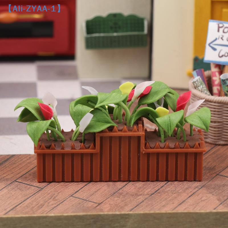 Miniature Calla Lily Potted Pl - Bonsai Garden House reseña y precio