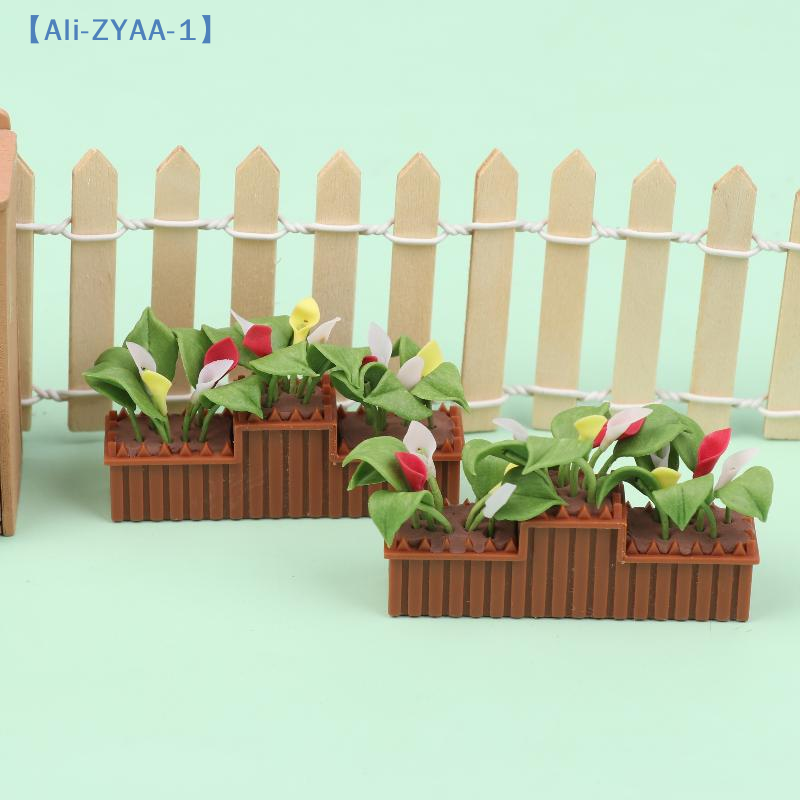 Miniature Calla Lily Potted Pl - Bonsai Garden House reseña y precio