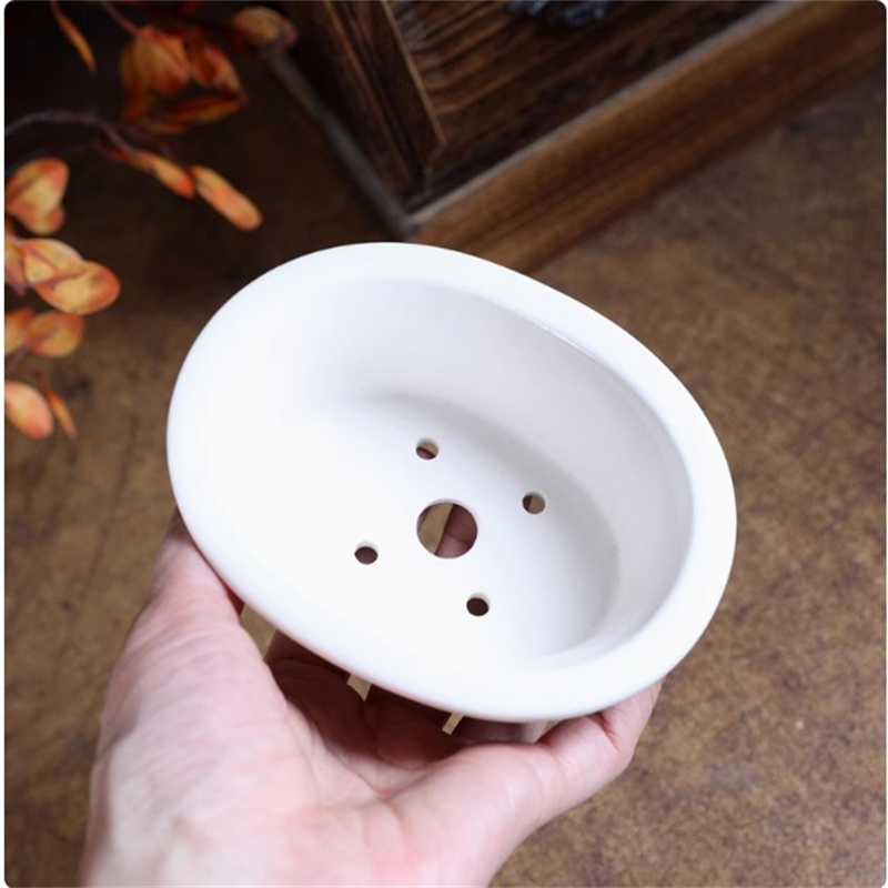 Porcelain White Oval Bonsai Po - Bonsai Garden Desk reseña y precio