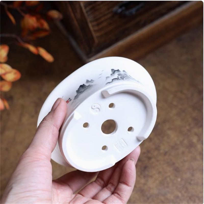 Porcelain White Oval Bonsai Po - Bonsai Garden Desk reseña y precio