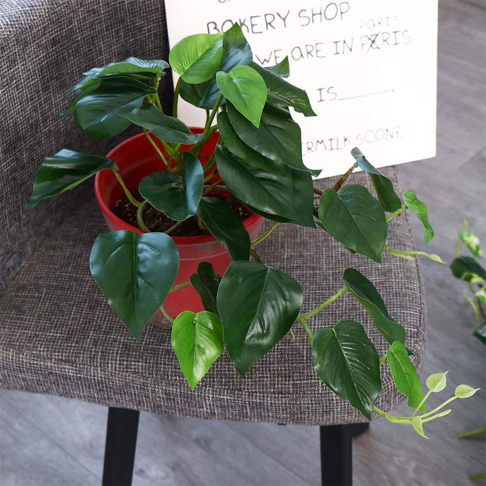 Tropical Nordic Desk Office Ga - Bonsai Garden Desk reseña y precio