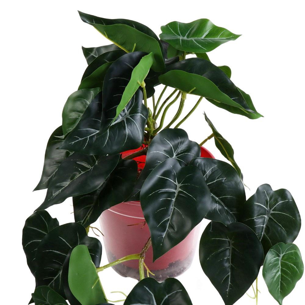 Tropical Nordic Desk Office Ga - Bonsai Garden Desk reseña y precio