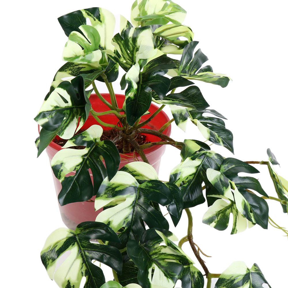 Tropical Nordic Desk Office Ga - Bonsai Garden Desk reseña y precio