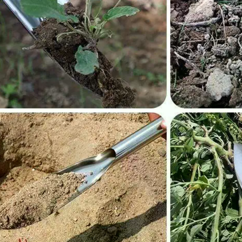 Stainless Steel Hand Shovel Le - Soil Scoop Tool reseña y precio
