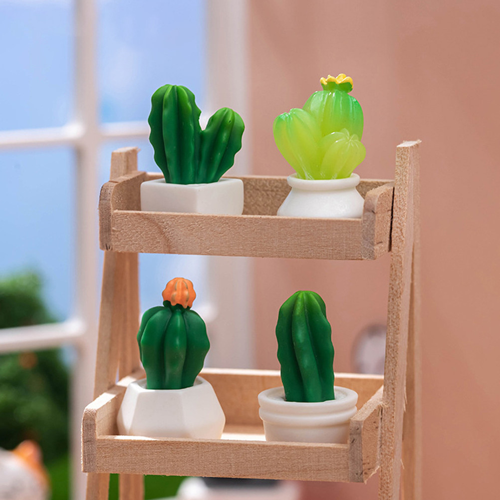 8Pcs Miniature Cactus Bonsai R - Bonsai Garden Desk reseña y precio