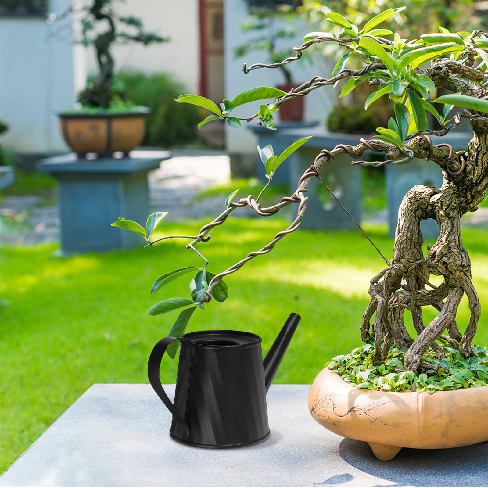 Mini Watering Can for Indoor P - Bonsai Garden Pot reseña y precio
