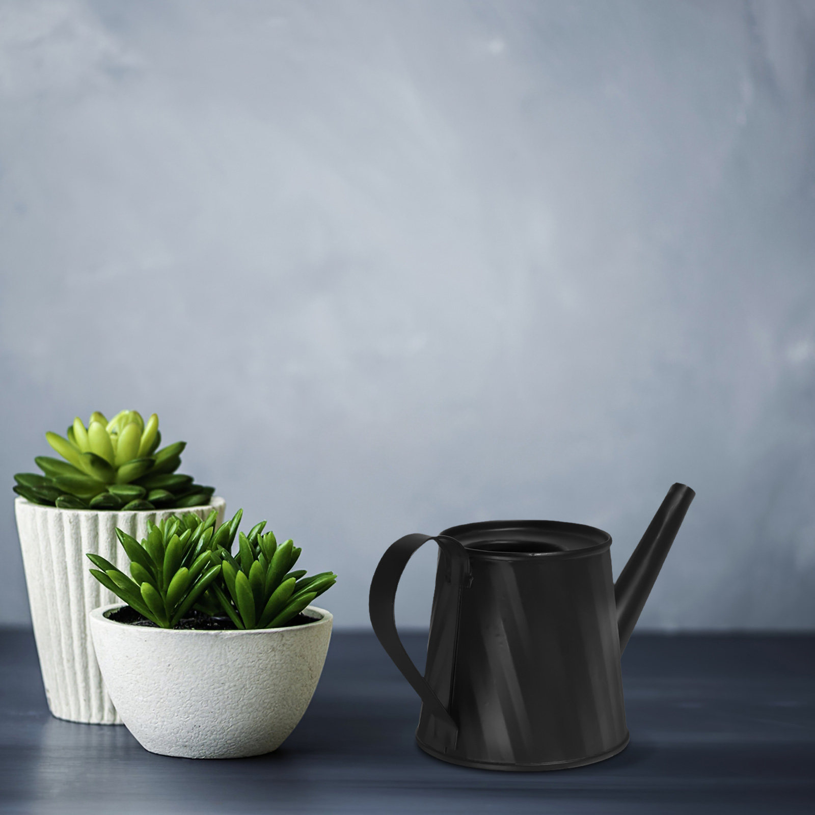 Mini Watering Can for Indoor P - Bonsai Garden Pot reseña y precio