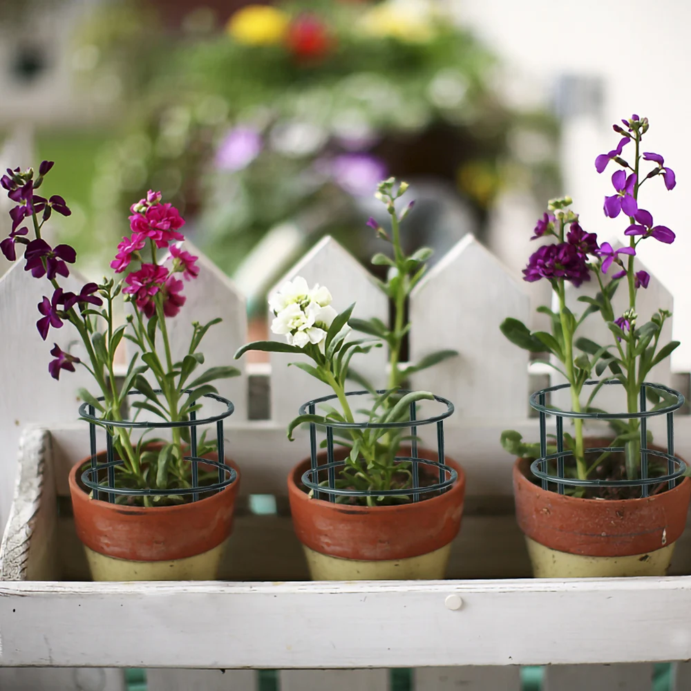 Garden Plant Support Cage Plie - Bonsai Garden House reseña y precio
