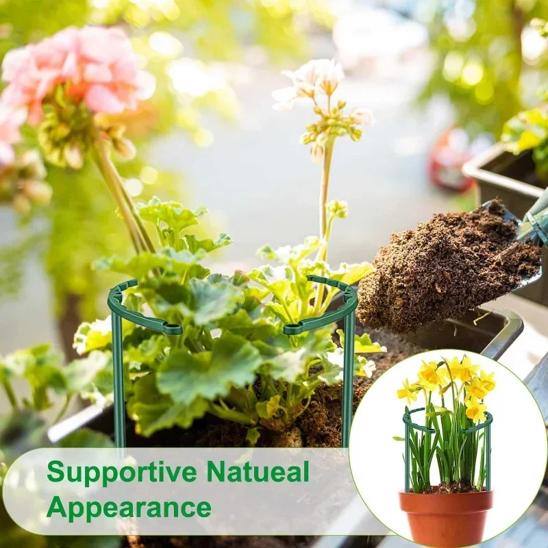 Garden Plant Support Cage Plie - Bonsai Garden House reseña y precio