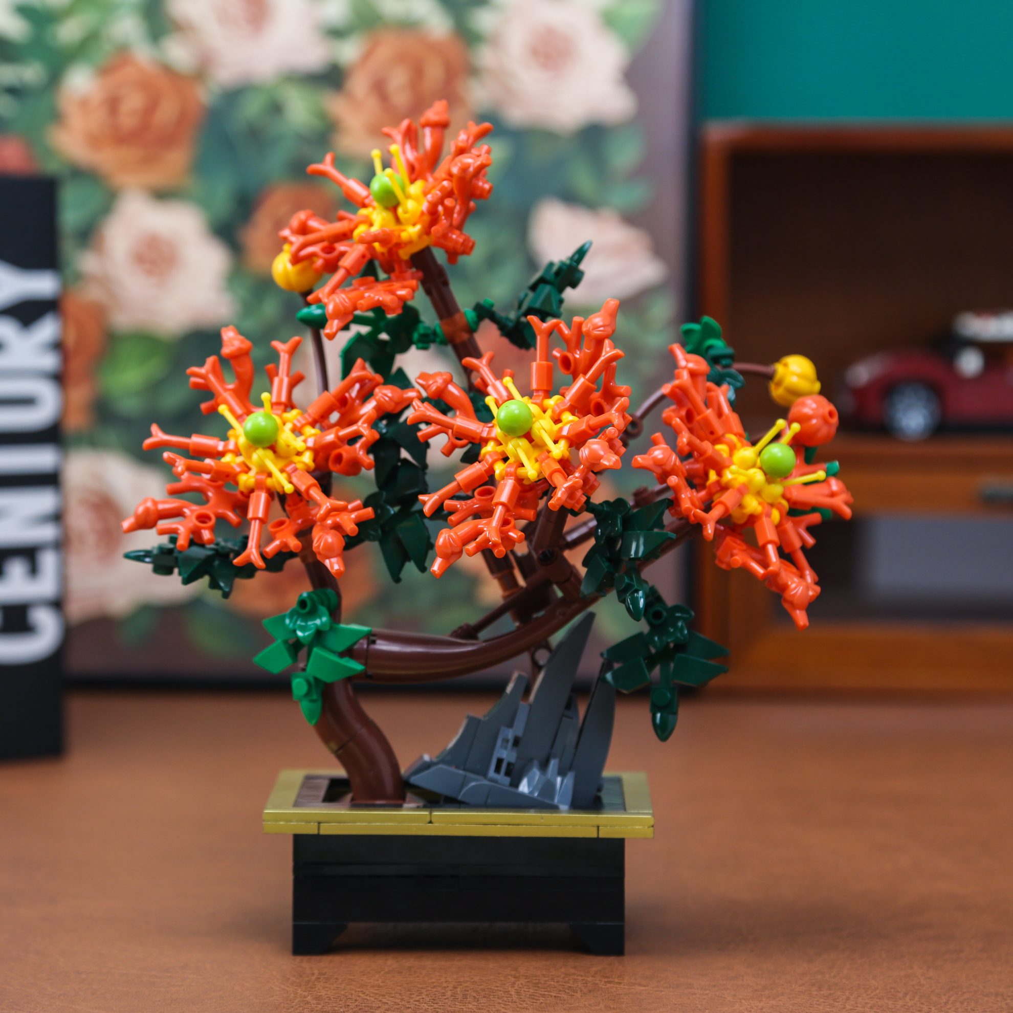 Dragon Claw Chrysanthemum Bons - Bonsai Garden Pot reseña y precio