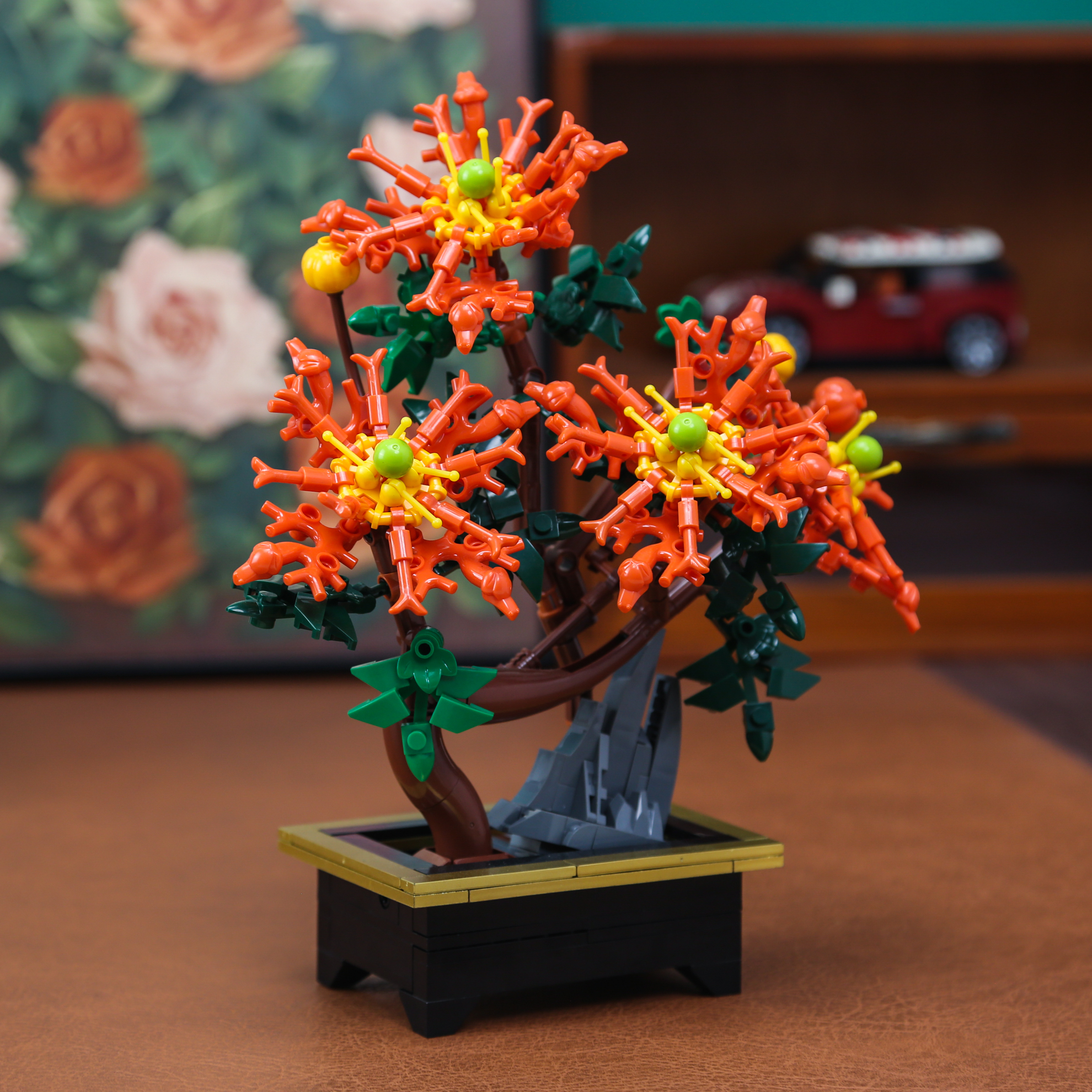 Dragon Claw Chrysanthemum Bons - Bonsai Garden Pot reseña y precio