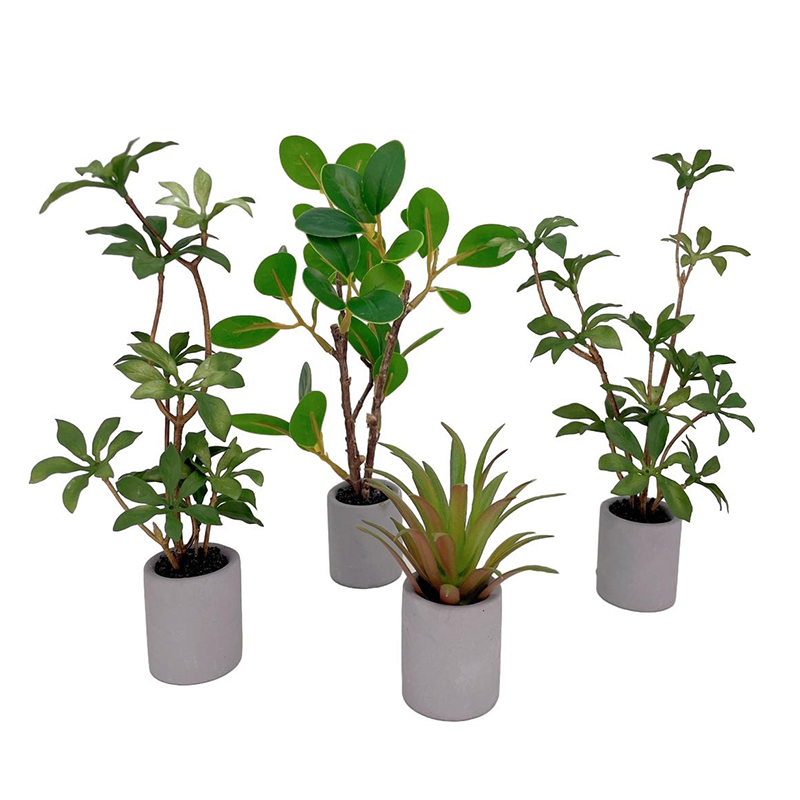 1:6 Dollhouse Miniature Potted - Bonsai Garden Pot reseña y precio