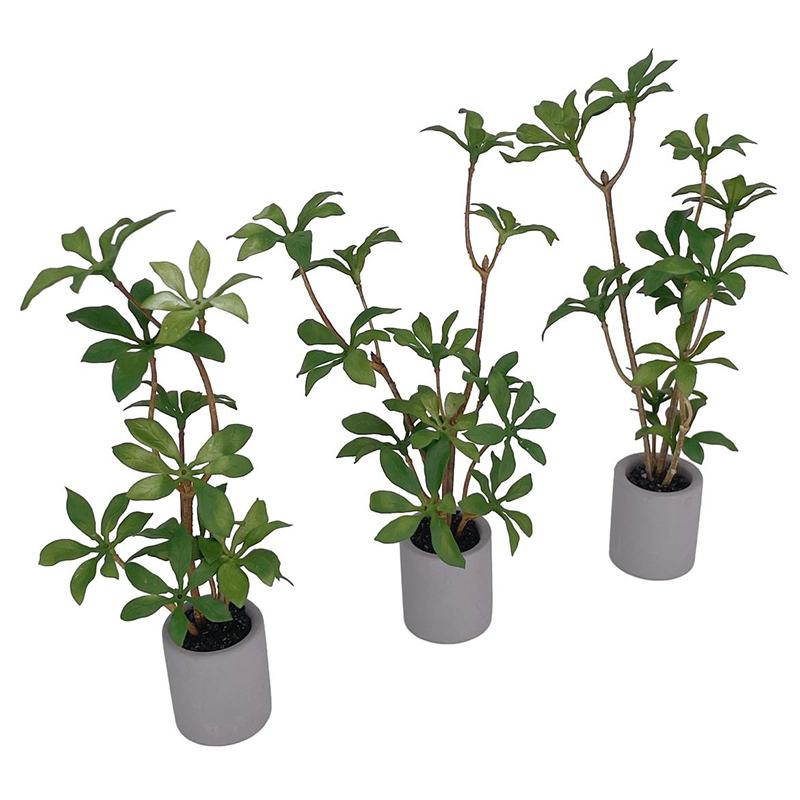 1:6 Dollhouse Miniature Potted - Bonsai Garden Pot reseña y precio