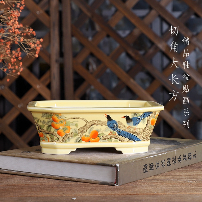 Porcelain Rectangle Bonsai Pot - Bonsai Garden Desk reseña y precio