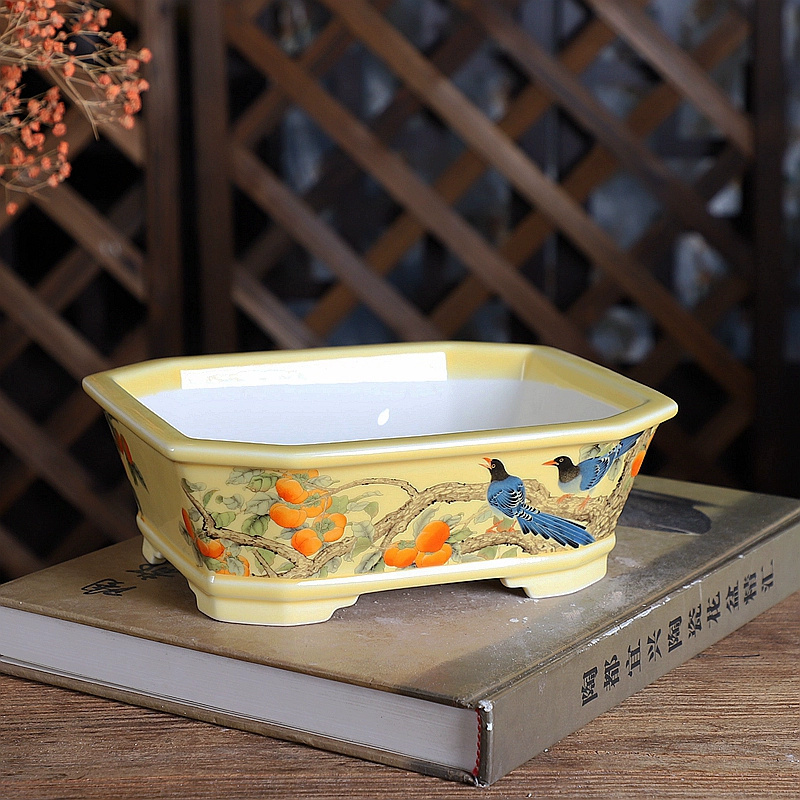 Porcelain Rectangle Bonsai Pot - Bonsai Garden Desk reseña y precio