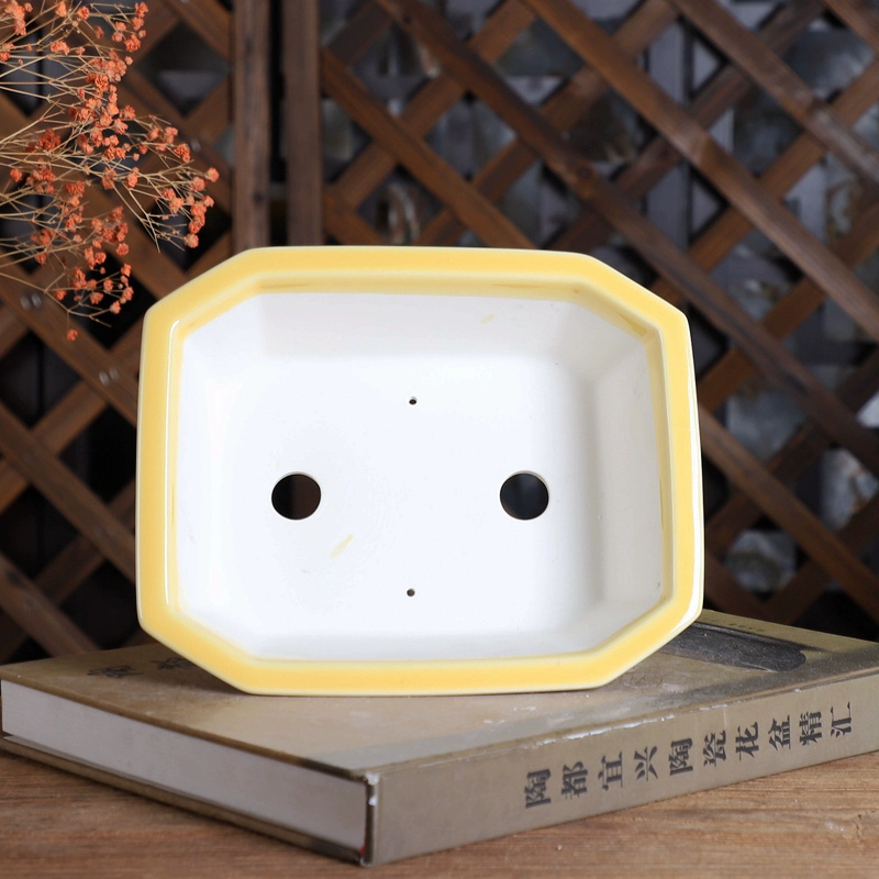 Porcelain Rectangle Bonsai Pot - Bonsai Garden Desk reseña y precio