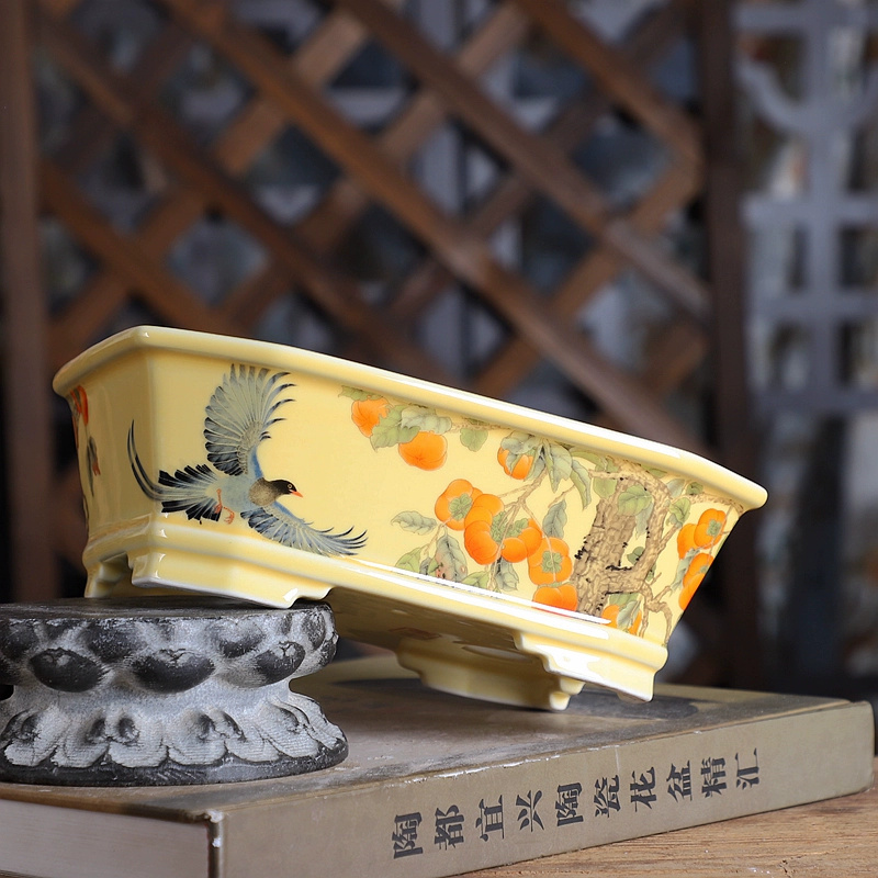 Porcelain Rectangle Bonsai Pot - Bonsai Garden Desk reseña y precio
