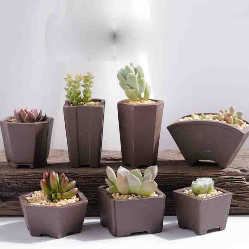 Yixing Purple Sand Flower Pot  - Japanese Garden Bonsai reseña y precio