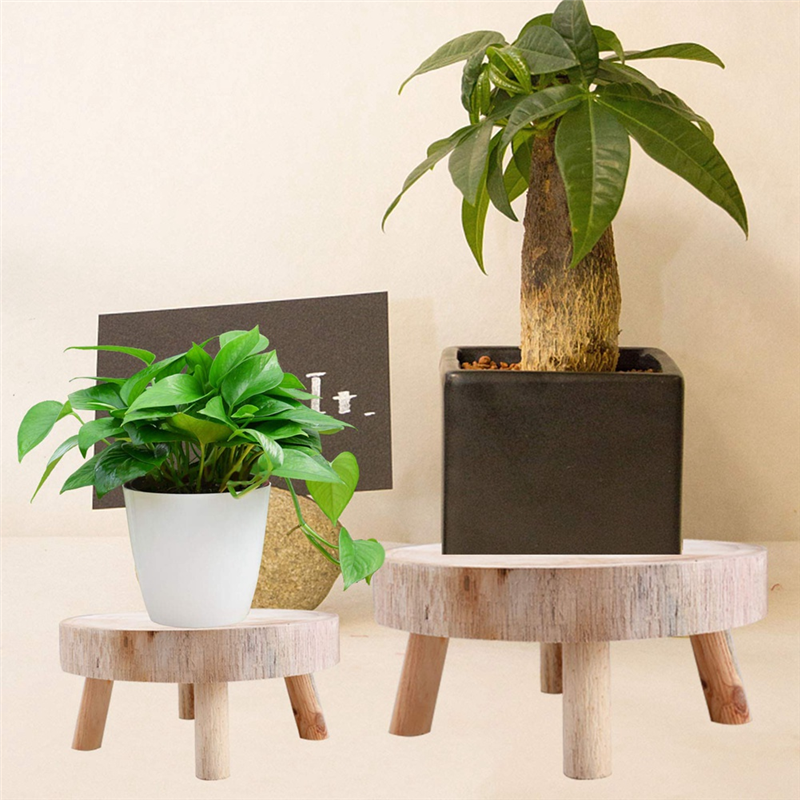 AS96-Mini Wooden Stool Display - Up Bonsai Garden reseña y precio