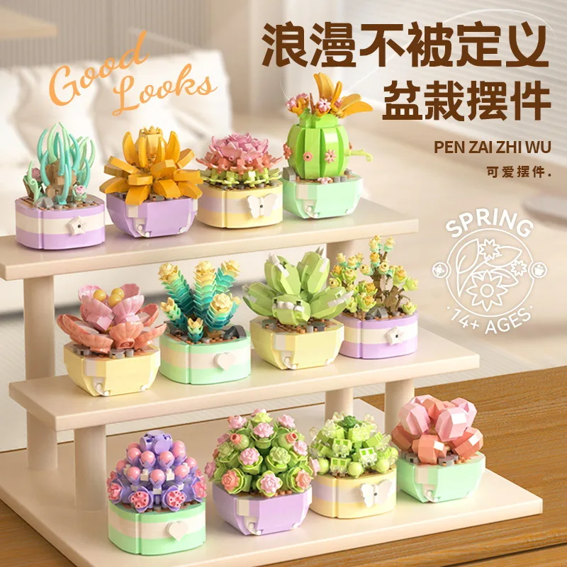 Flower Succulents Building Blo - Bonsai Garden Pot reseña y precio
