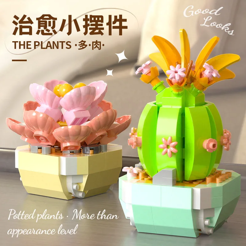 Flower Succulents Building Blo - Bonsai Garden Pot reseña y precio