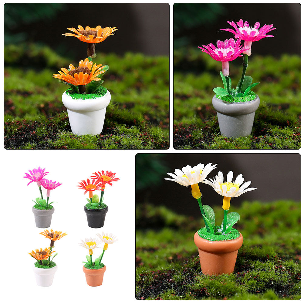 4Pcs Miniature Bonsai Plant Do - Bonsai Garden House reseña y precio