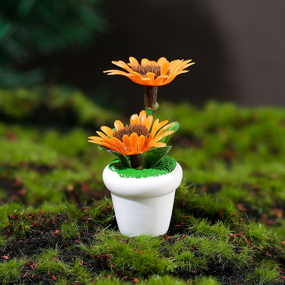 4Pcs Miniature Bonsai Plant Do - Bonsai Garden House reseña y precio
