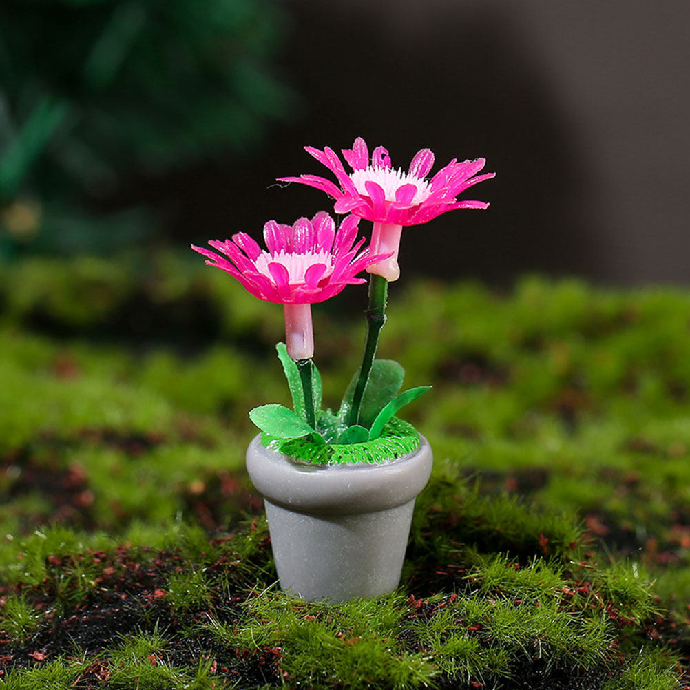 4Pcs Miniature Bonsai Plant Do - Bonsai Garden House reseña y precio