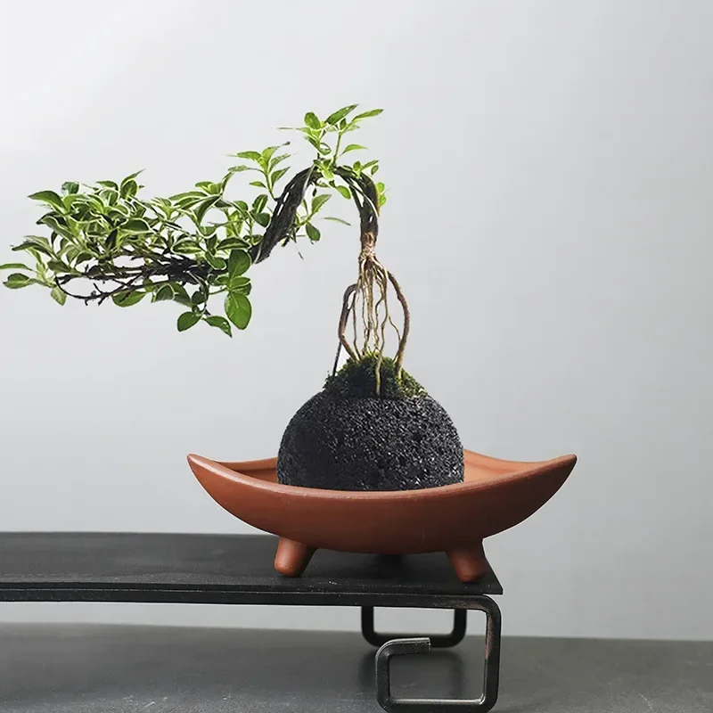 Personalized Ceramic Flower Po - Japanese Garden Bonsai reseña y precio