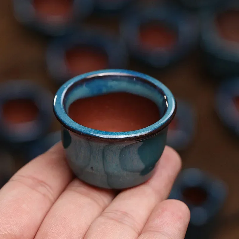 Succulent thumb flowerpot, pur - Japanese Garden Bonsai reseña y precio
