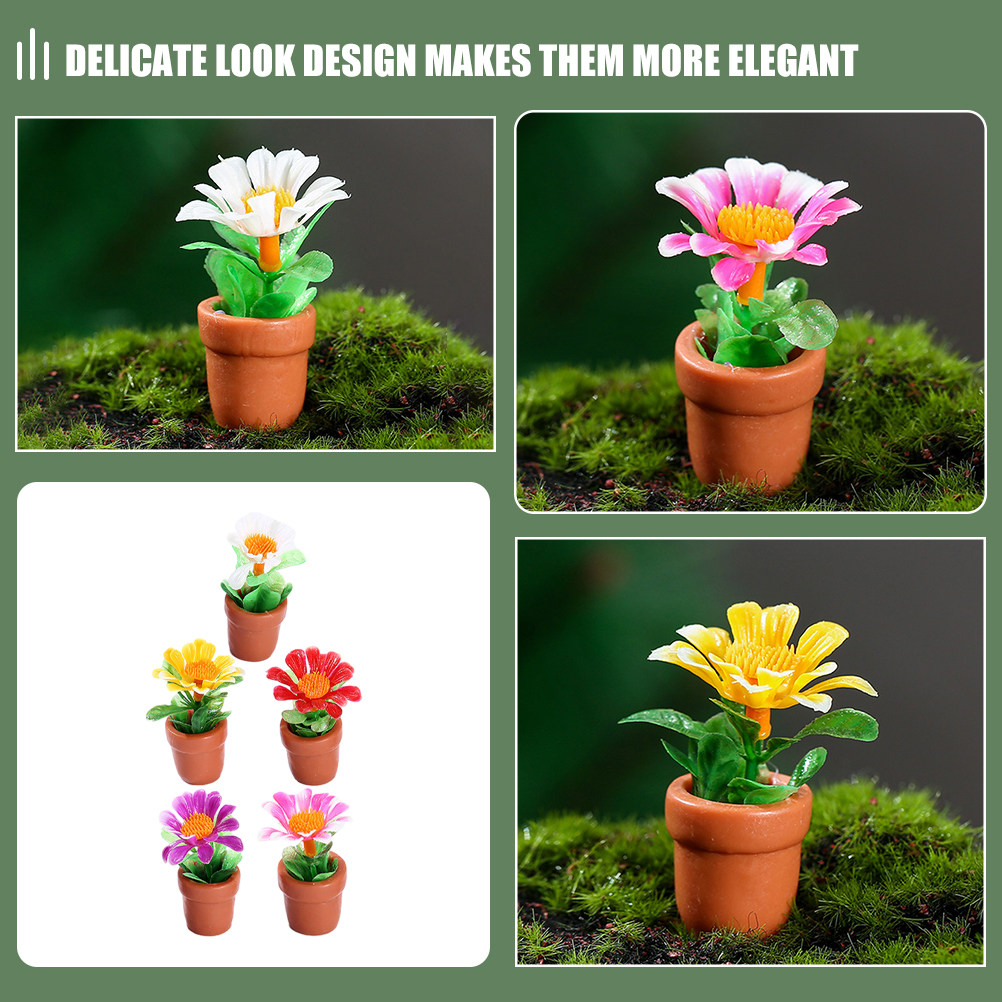 5Pcs Miniature Bonsai Decor fo - Bonsai Garden House reseña y precio