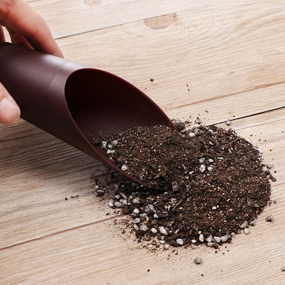 1PC Plastic Soil Shovel Cup Fo - Bonsai Garden Pot reseña y precio