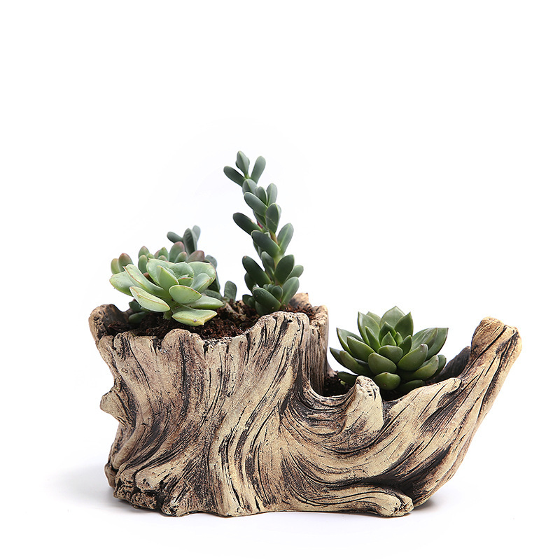 Succulent Flower Pot Wood Tree - Japanese Garden Bonsai reseña y precio