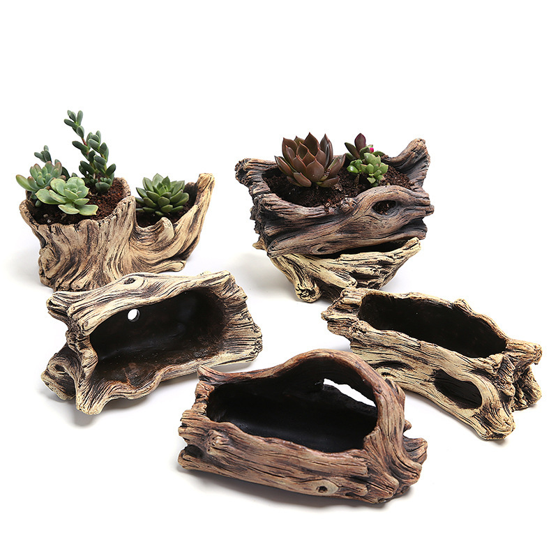Succulent Flower Pot Wood Tree - Japanese Garden Bonsai reseña y precio
