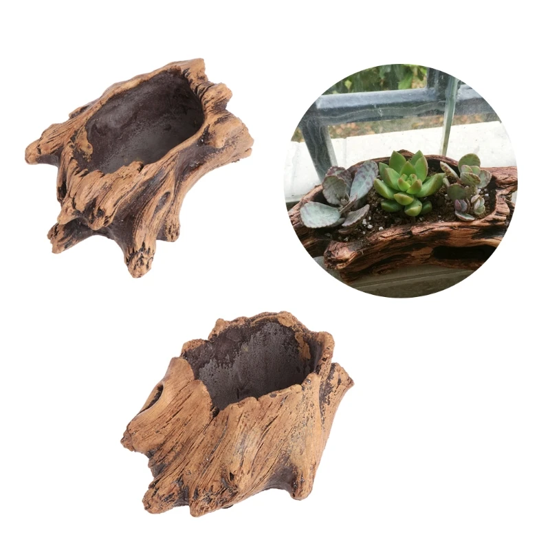 Succulent Flower Pot Wood Tree - Japanese Garden Bonsai reseña y precio