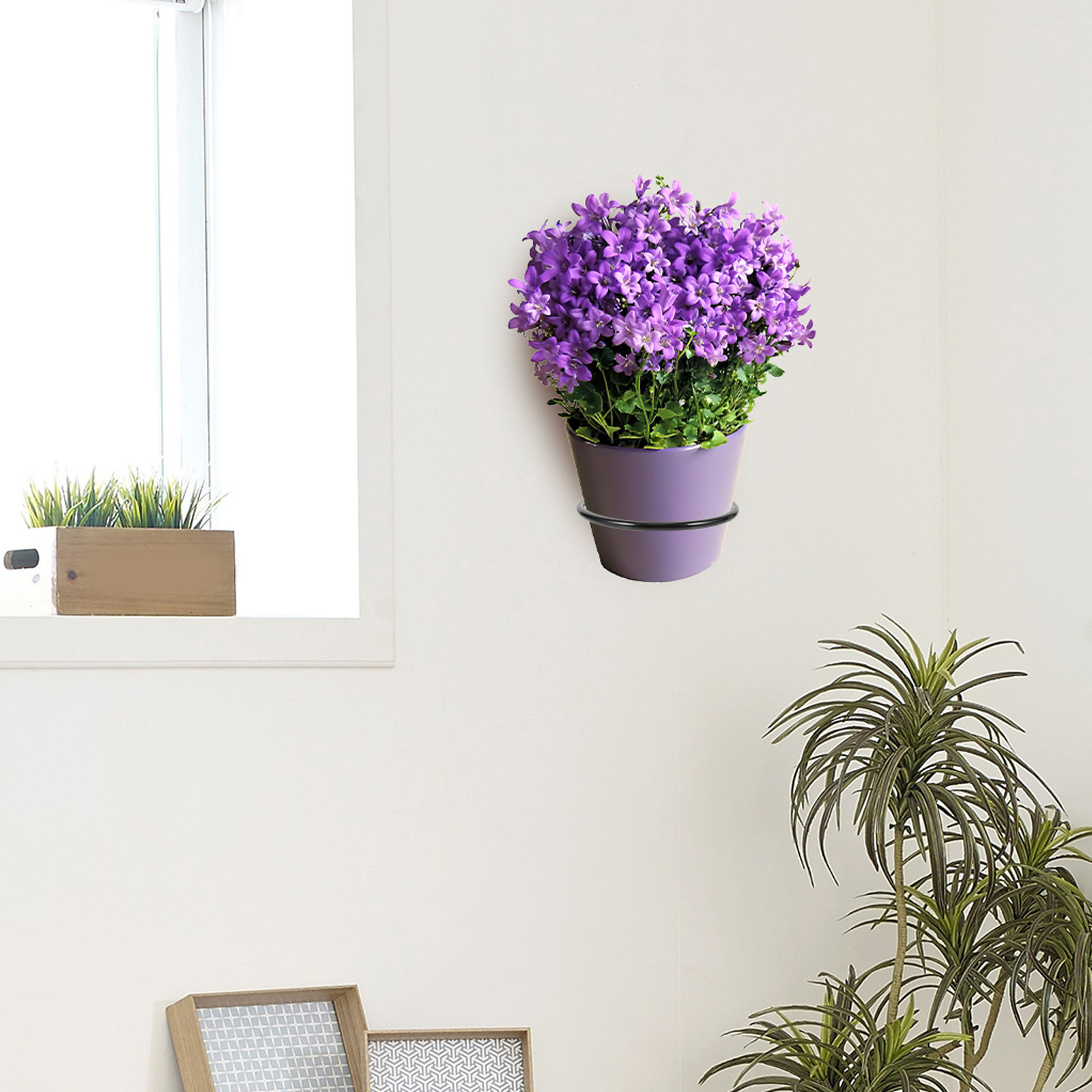 3Pcs Wall-Mounted Plant Pot Ri - Bonsai Garden Pot reseña y precio